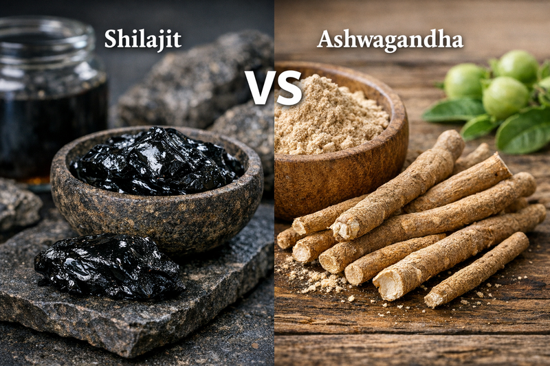 Confronto tra Shilajit e Ashwagandha